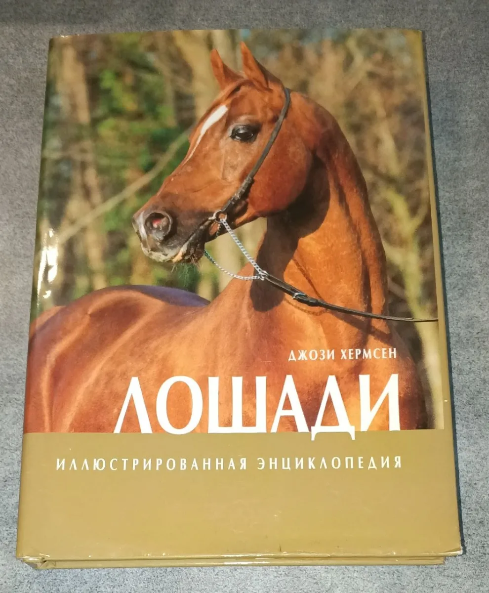 Лошади (подарочное издание)