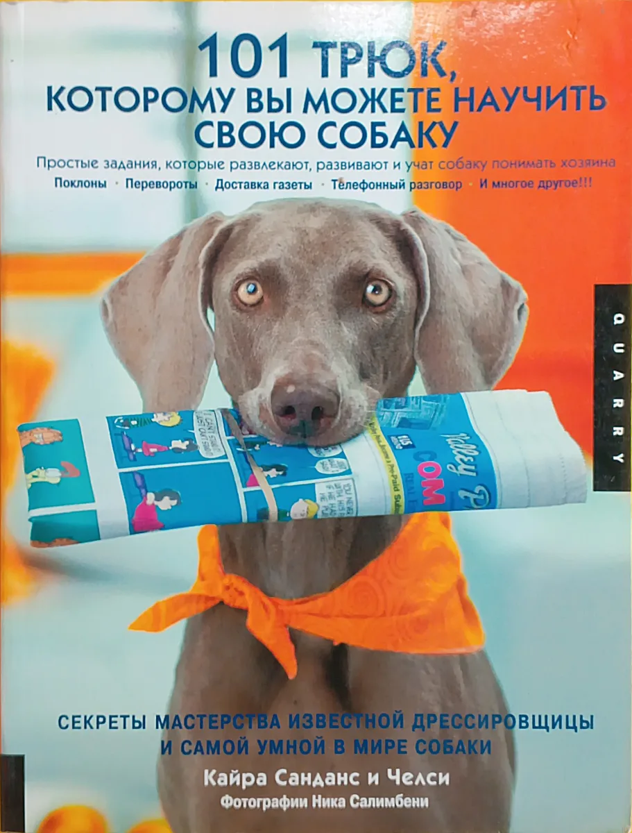 101 трюк, которому вы можете научить свою собаку