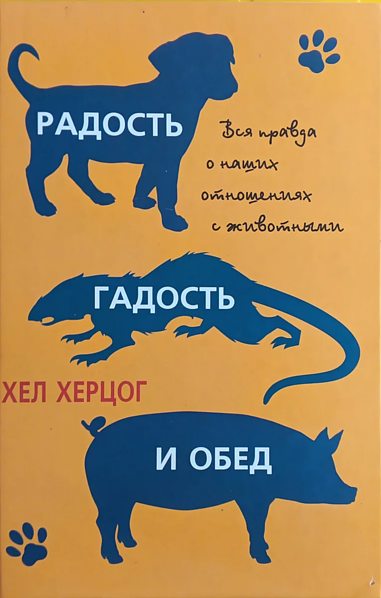 Радость, гадость и обед